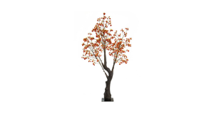 Μεγάλα Φωτιζόμενα Ρεύματος